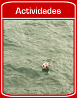 Museo > Fotos: Actividades