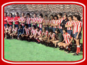 Cromos: Plantilla 77/78