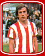 Bermejo