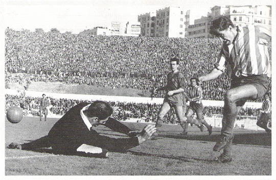 El Galgo del Metropolitano